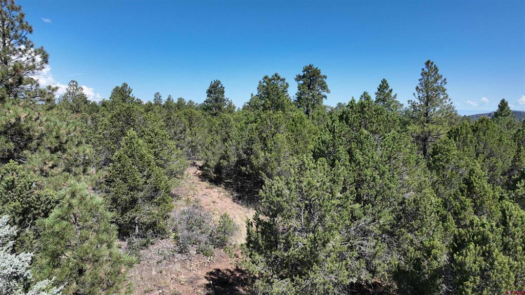 212 Fisher Canyon Drive