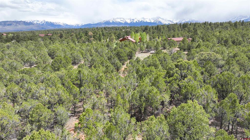 212 Fisher Canyon Drive