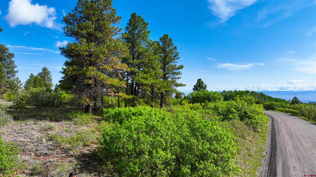 35 Acres Davewood Road