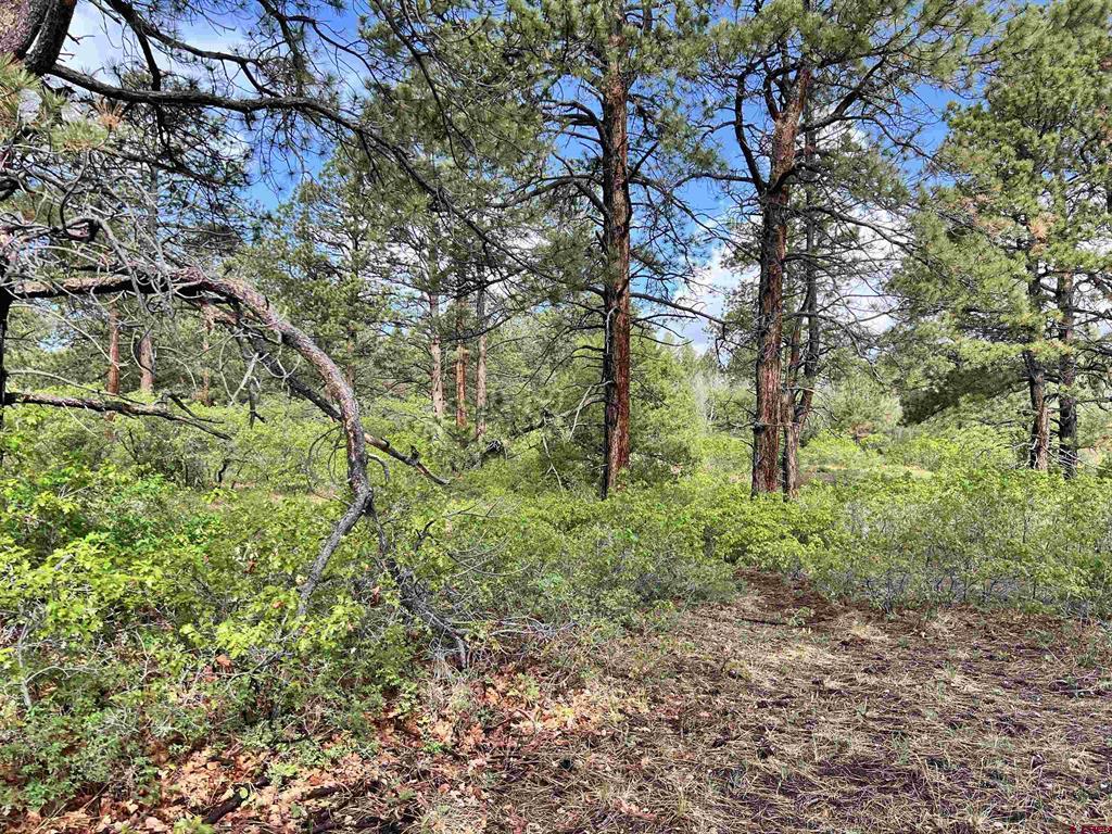 35 Acres Davewood Road
