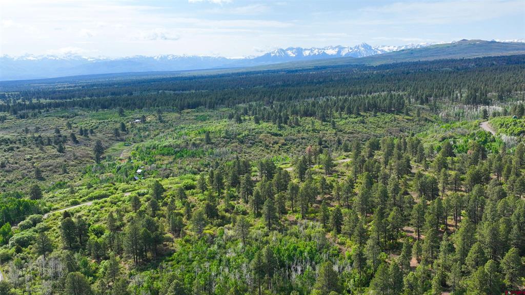 35 Acres Davewood Road