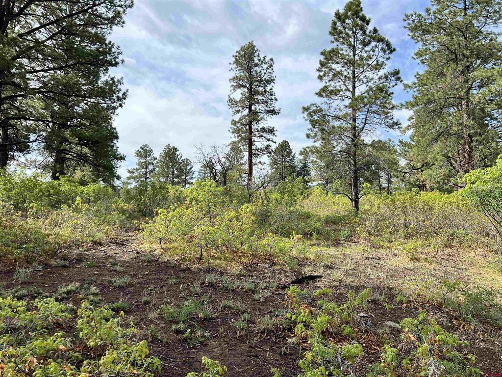 35 Acres Davewood Road