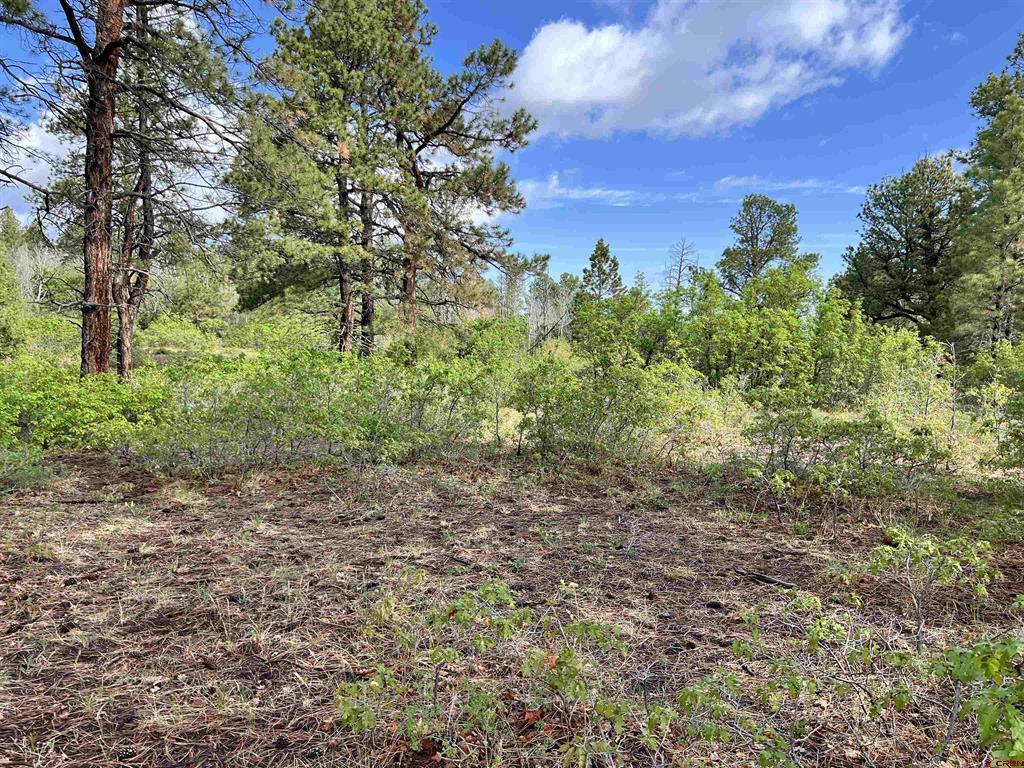 35 Acres Davewood Road