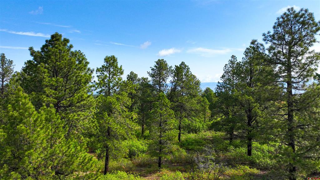 35 Acres Davewood Road