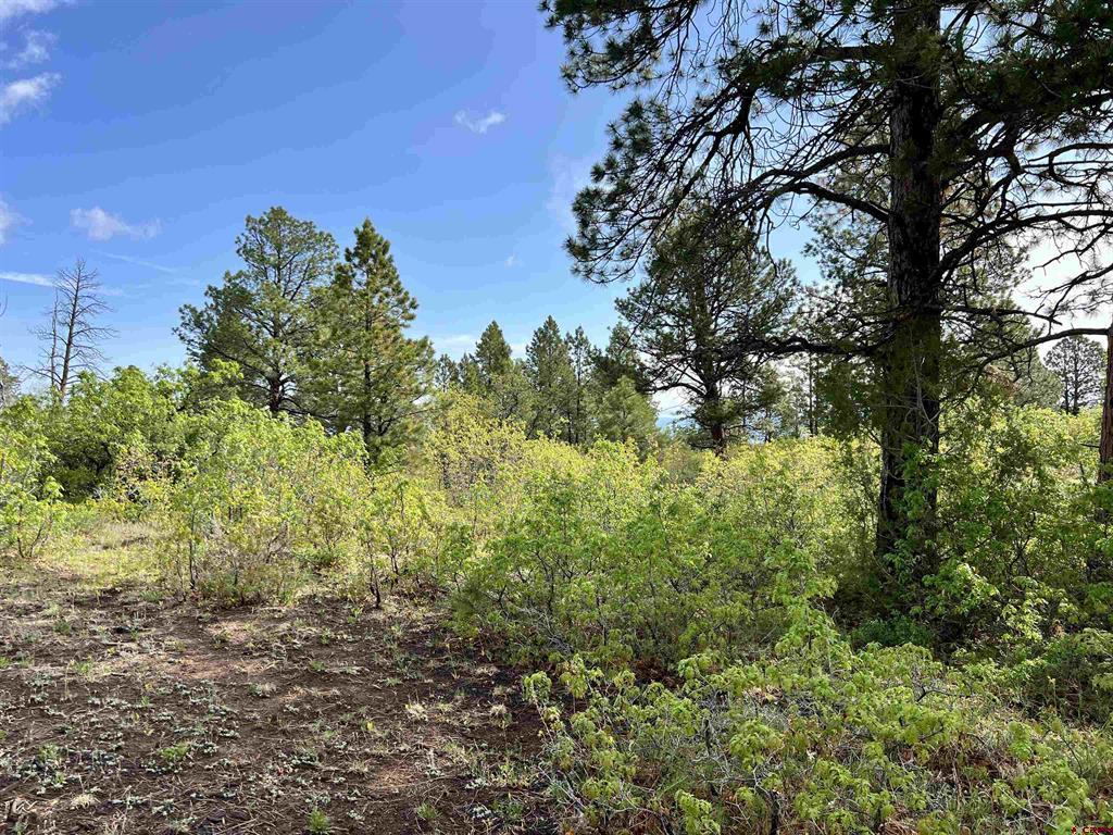 35 Acres Davewood Road
