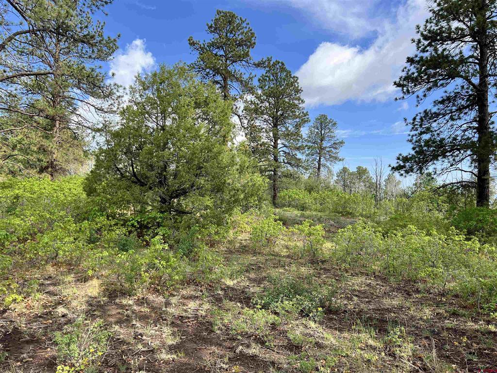 35 Acres Davewood Road