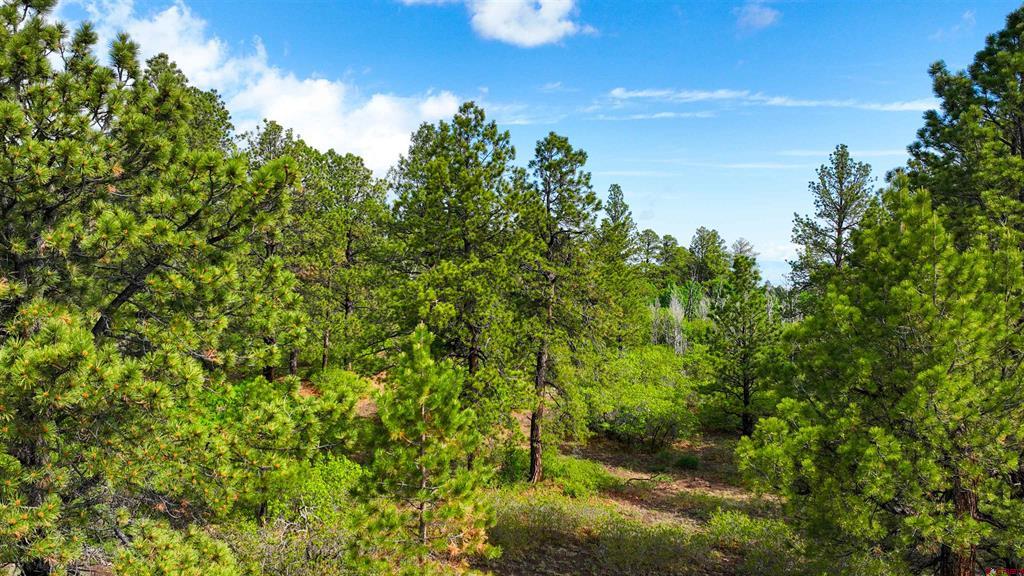 35 Acres Davewood Road
