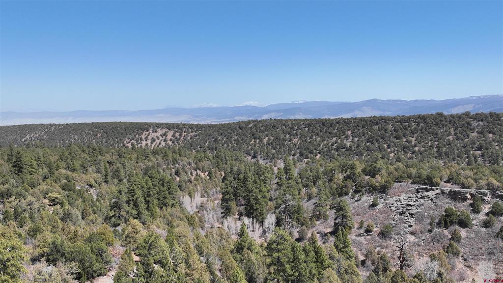 35 Acres Wild Poppy Road