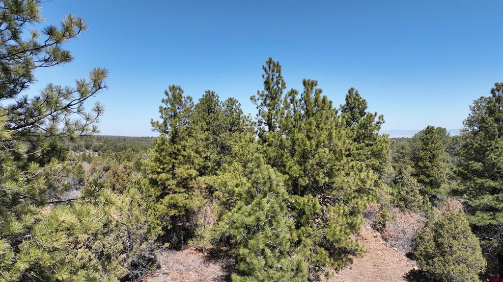 35 Acres Wild Poppy Road