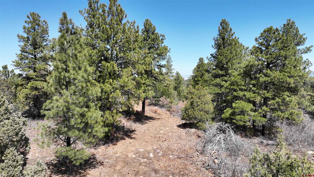 35 Acres Wild Poppy Road