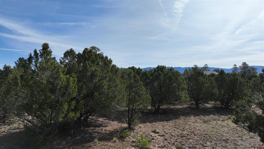 Lot 2 Cottontail Lane