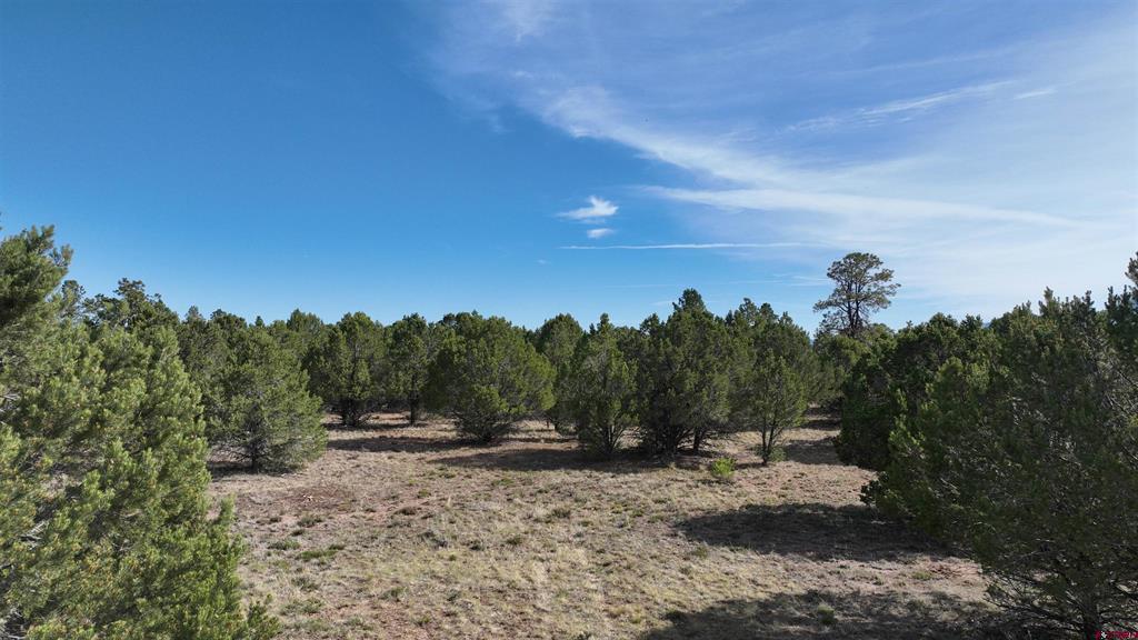 Lot 2 Cottontail Lane