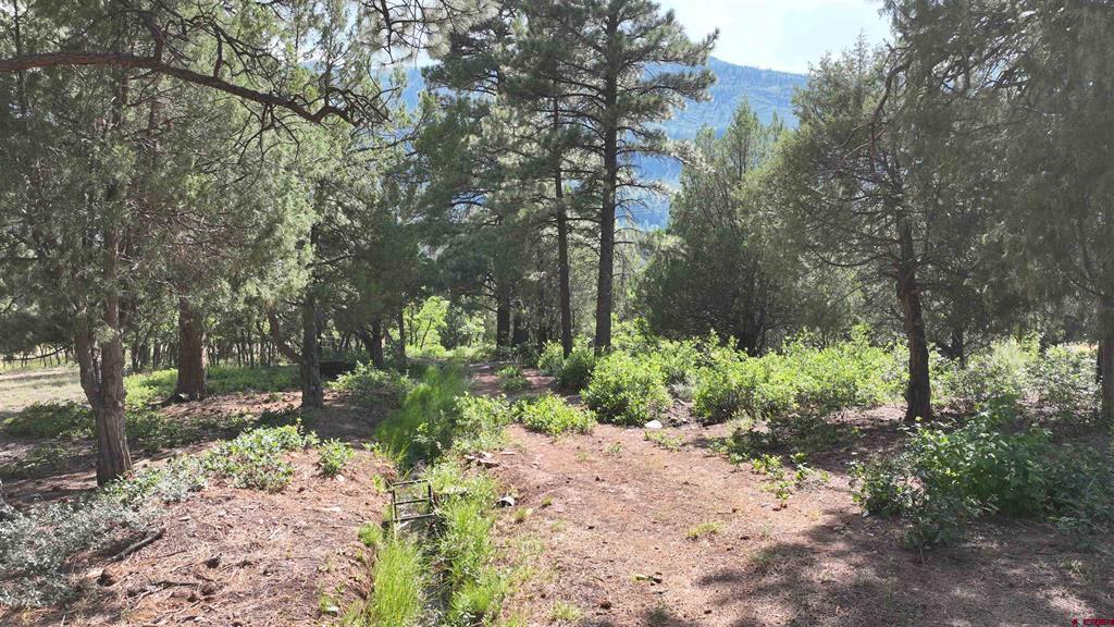 Lot 3 White House Vista Lane