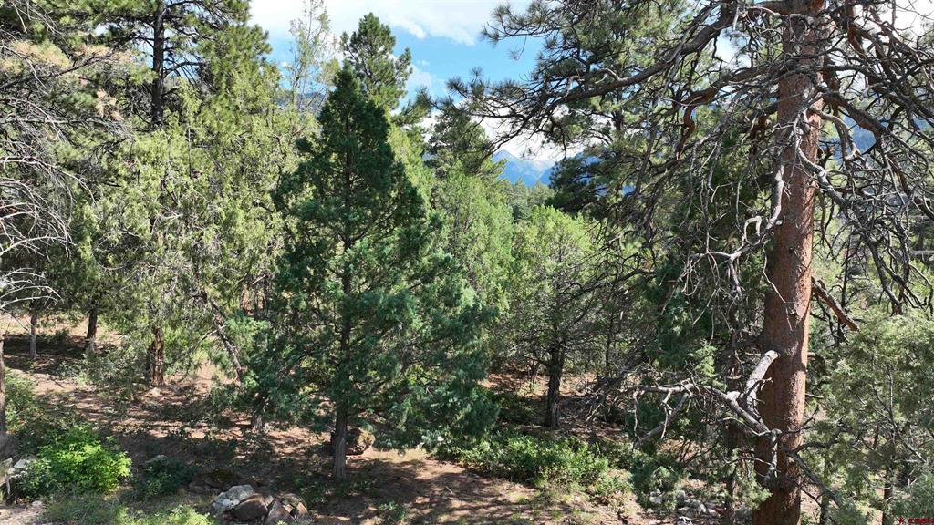 Lot 3 White House Vista Lane