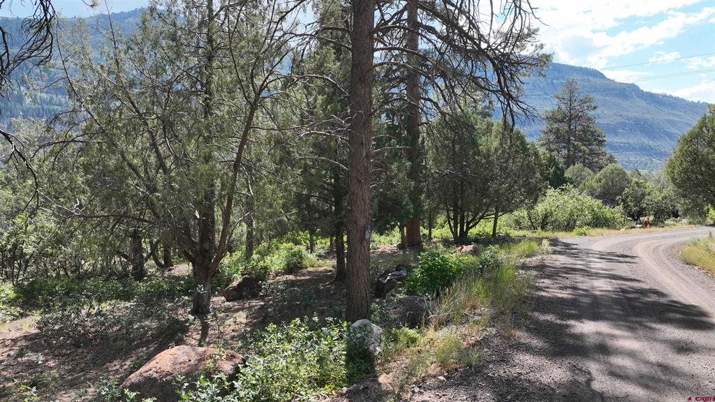 Lot 3 White House Vista Lane