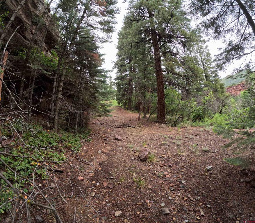 TBD County Road 17