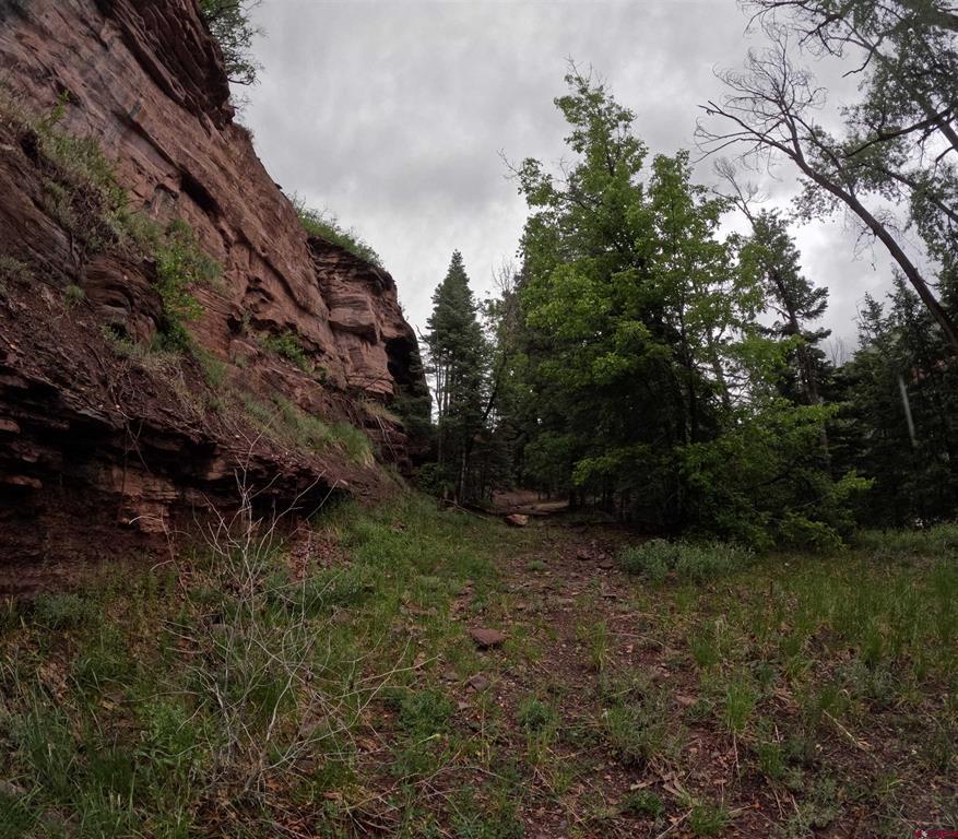 TBD County Road 17