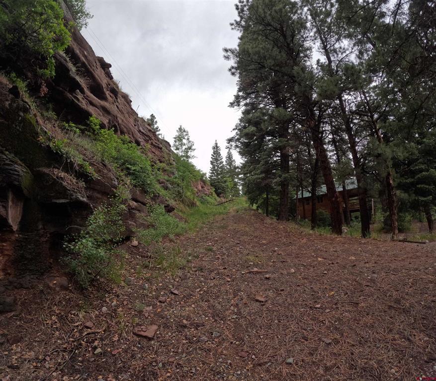 TBD County Road 17