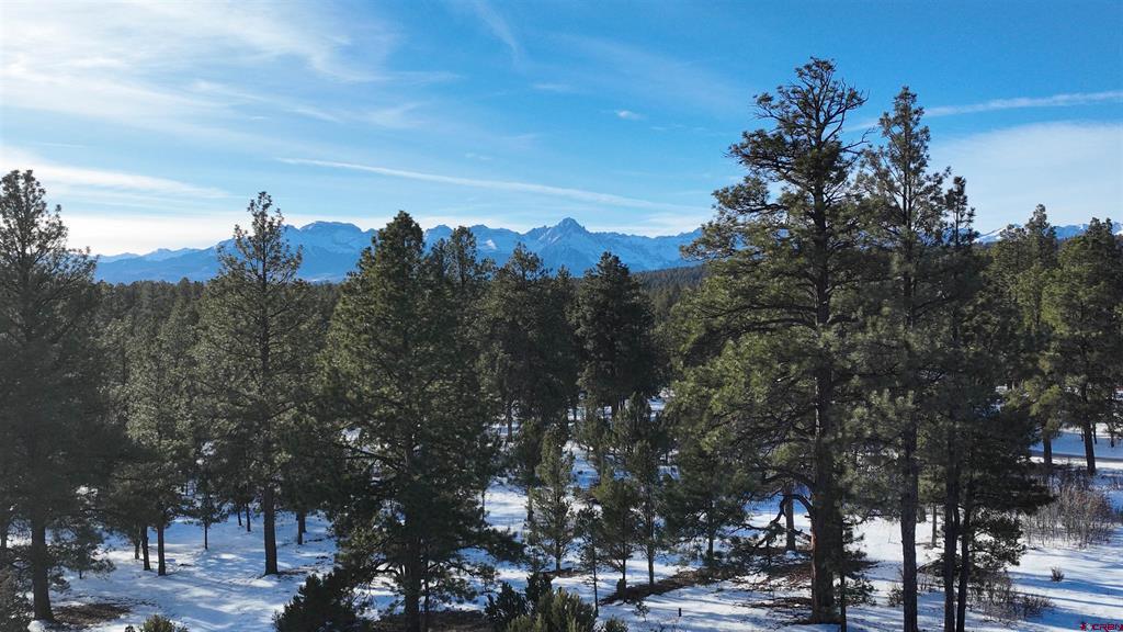 141 Big Canyon Point