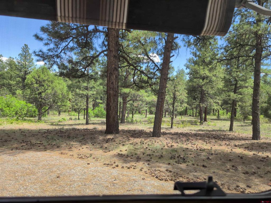 141 Big Canyon Point