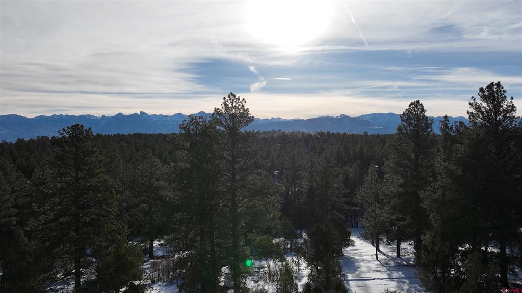 141 Big Canyon Point