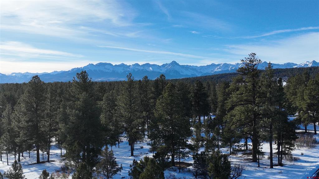 141 Big Canyon Point