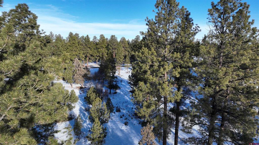 141 Big Canyon Point