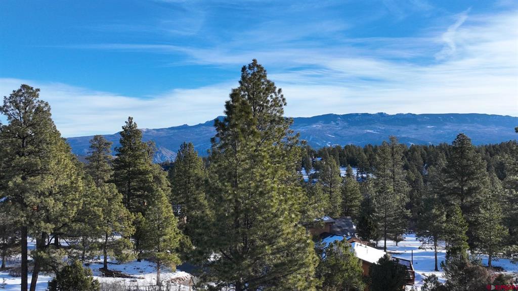 141 Big Canyon Point