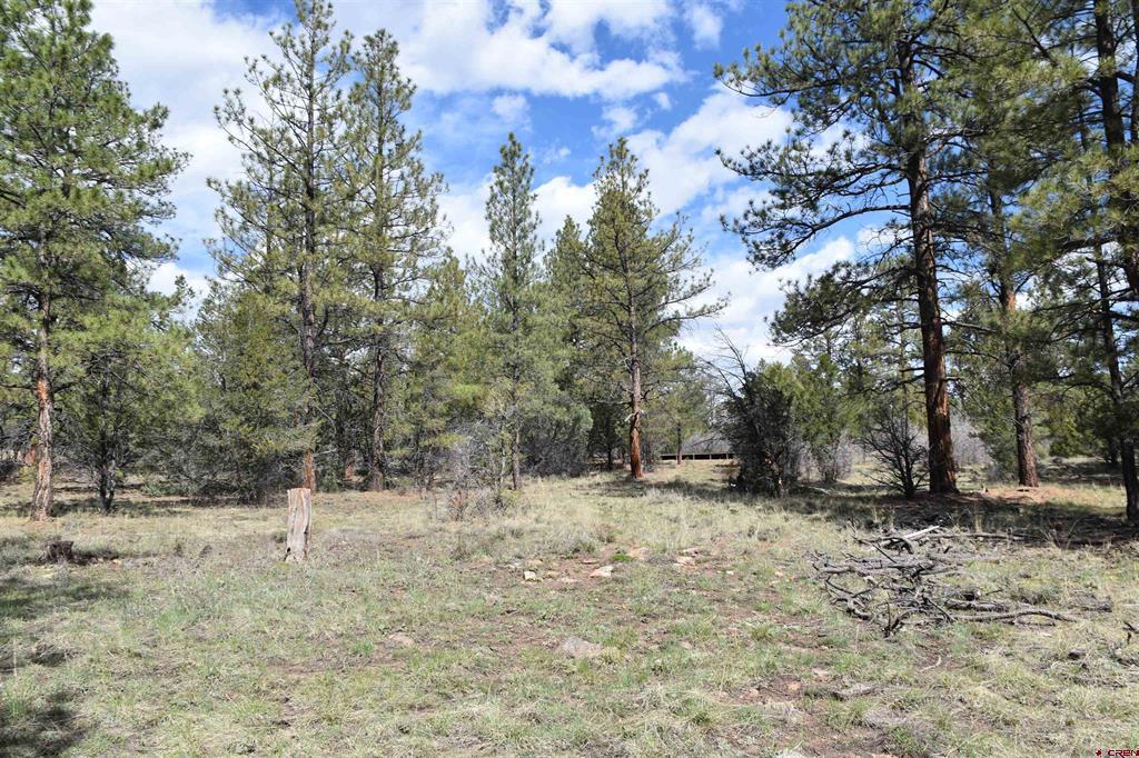 141 Big Canyon Point