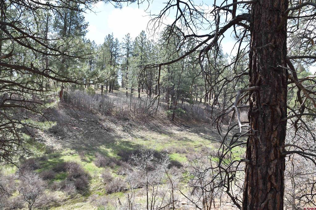 141 Big Canyon Point