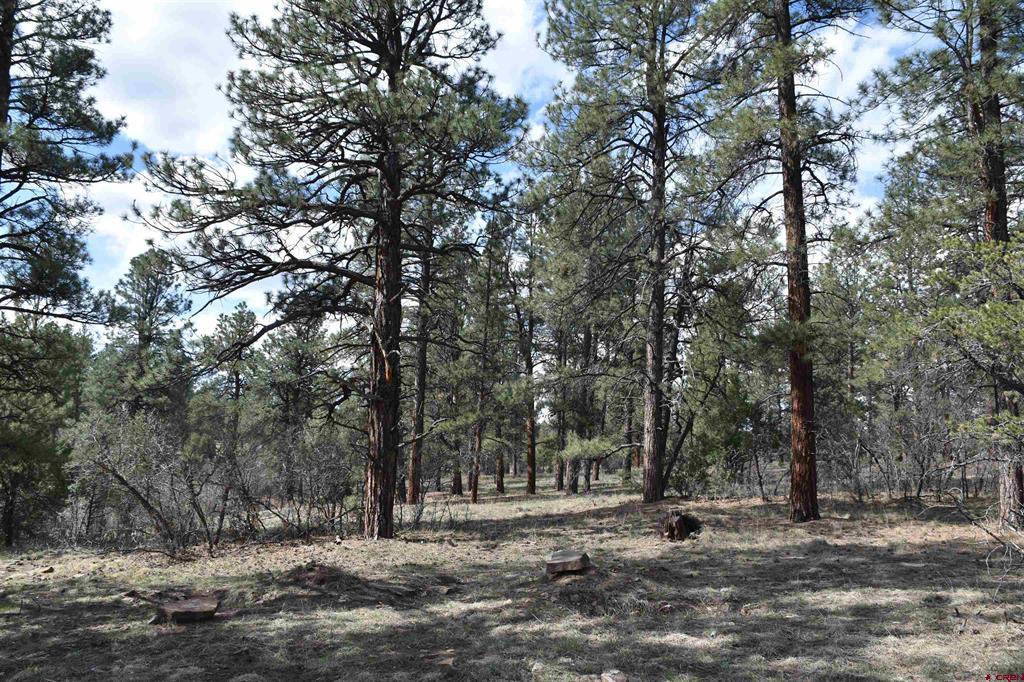 141 Big Canyon Point