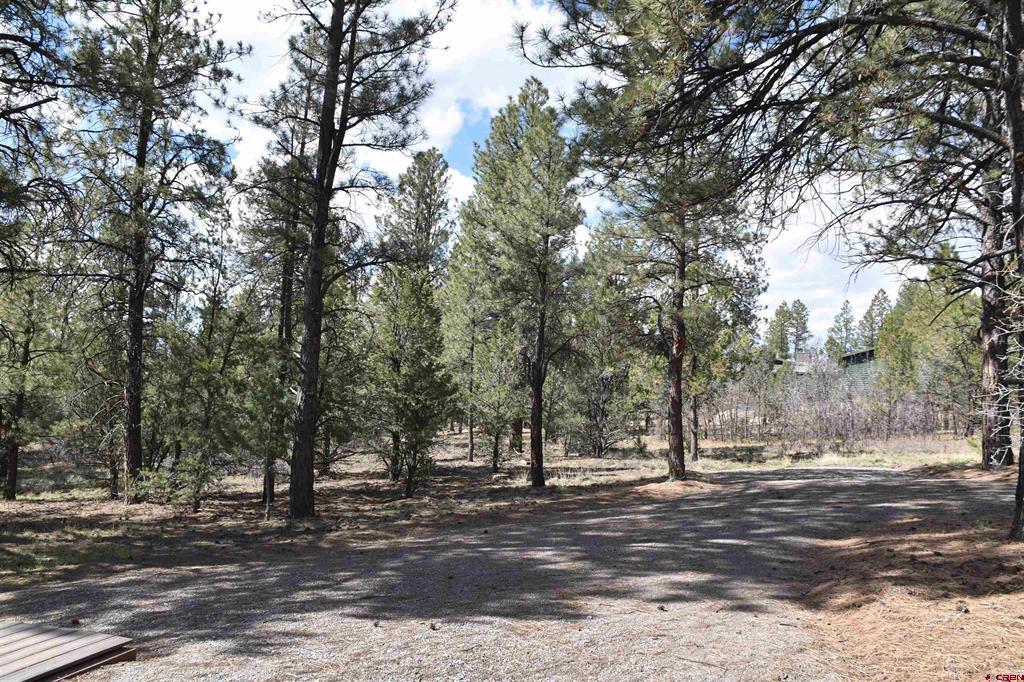 141 Big Canyon Point