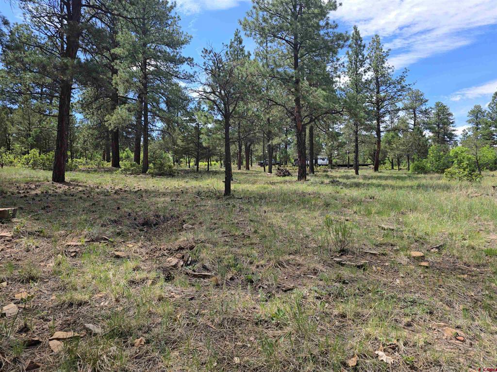 141 Big Canyon Point