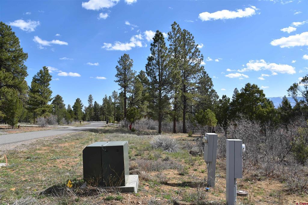 141 Big Canyon Point