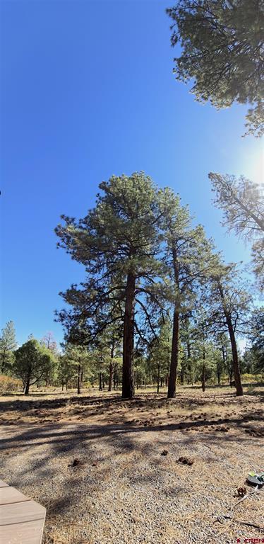 141 Big Canyon Point