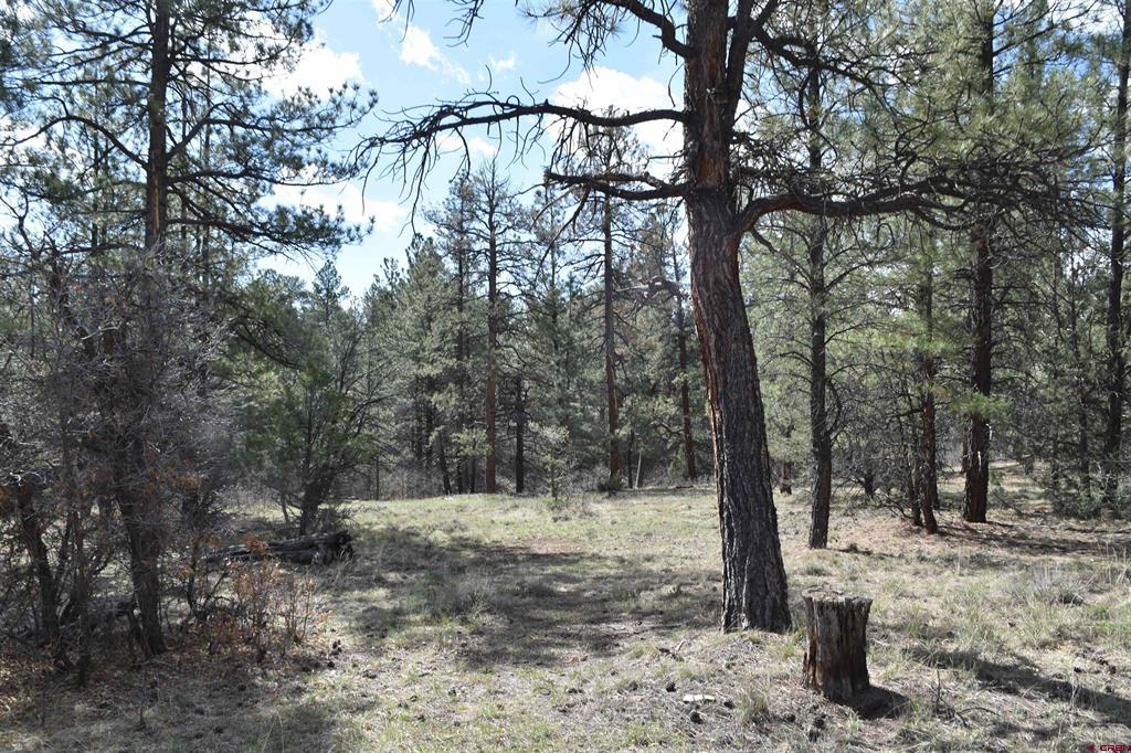 141 Big Canyon Point