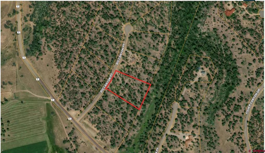 141 Big Canyon Point