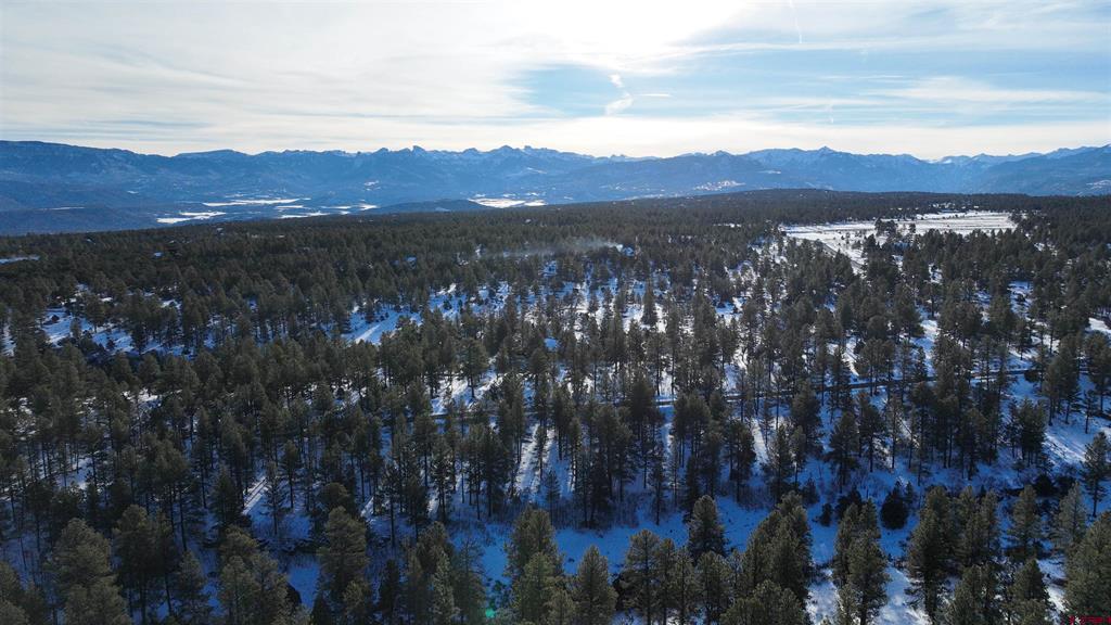 141 Big Canyon Point