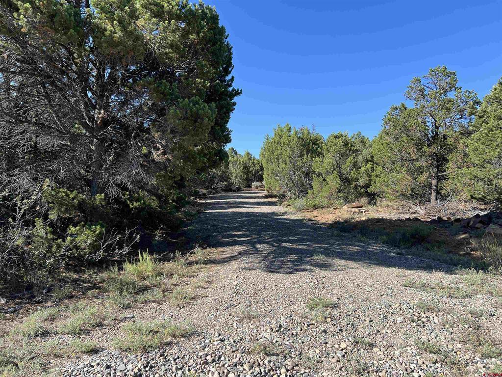 246 La Mesa Vista Drive