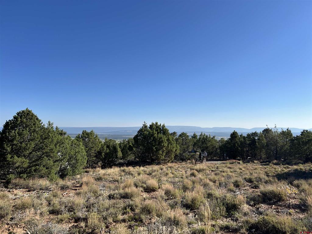246 La Mesa Vista Drive
