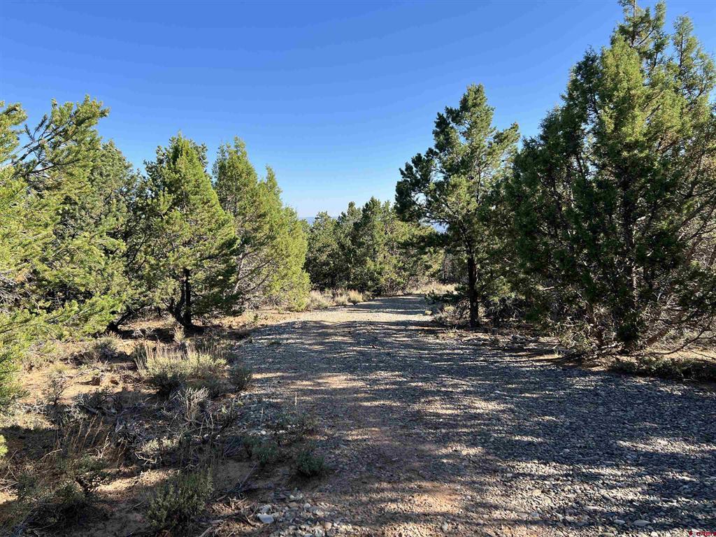 246 La Mesa Vista Drive