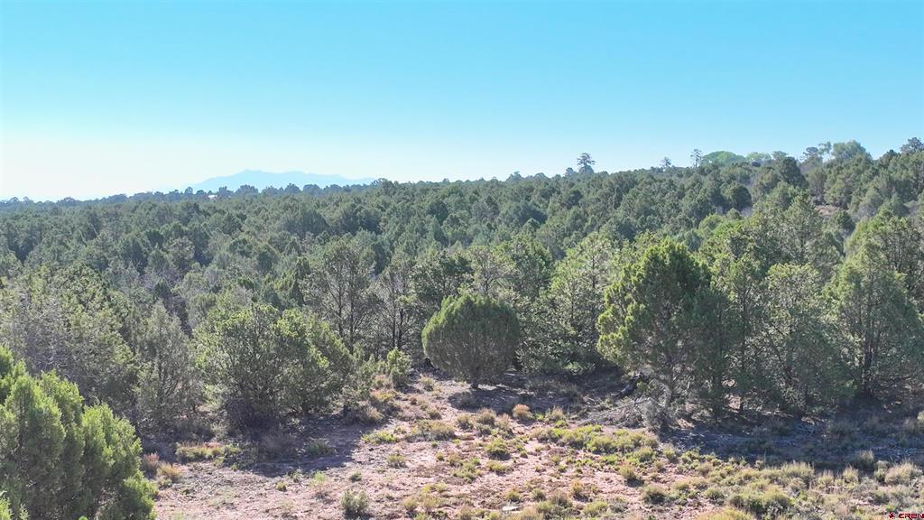 246 La Mesa Vista Drive