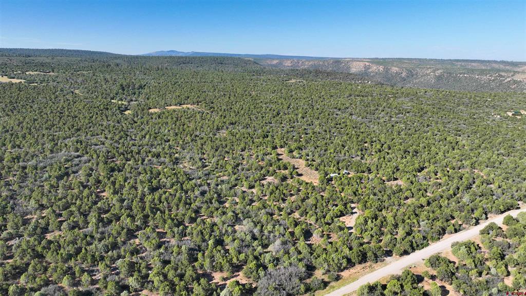 246 La Mesa Vista Drive