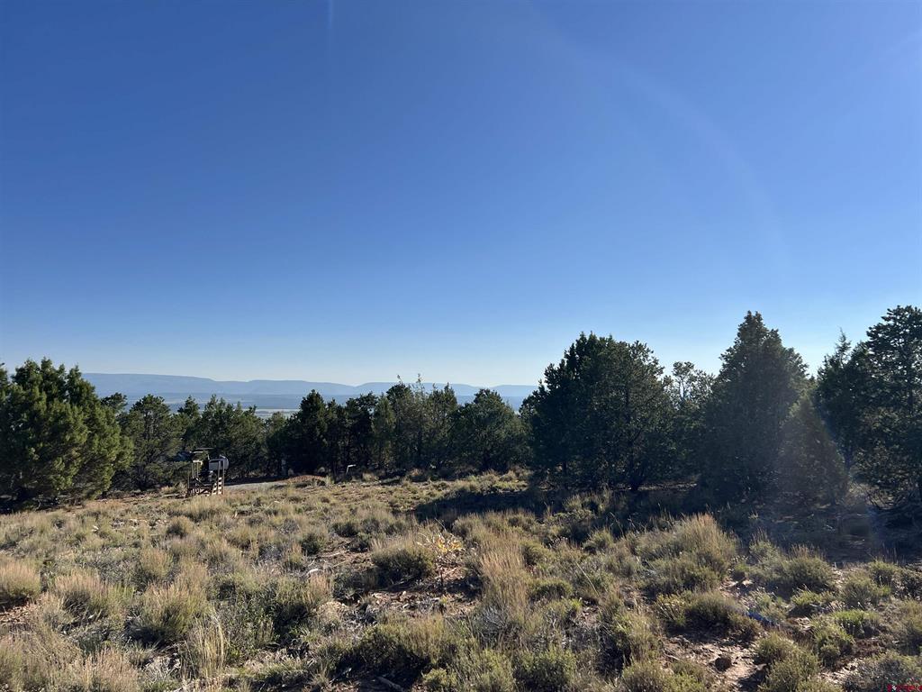 246 La Mesa Vista Drive