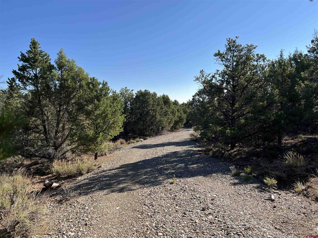 246 La Mesa Vista Drive