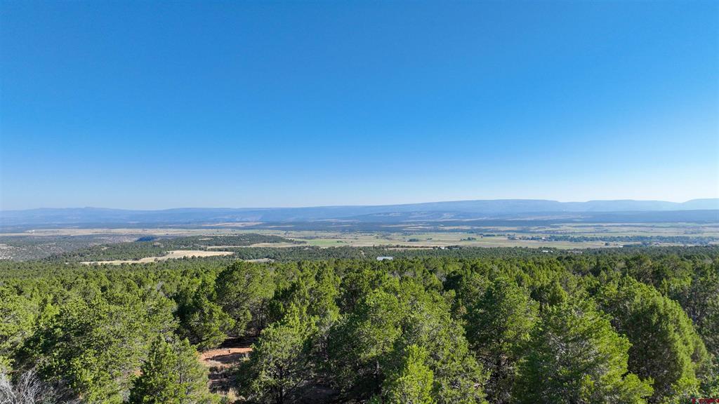 246 La Mesa Vista Drive