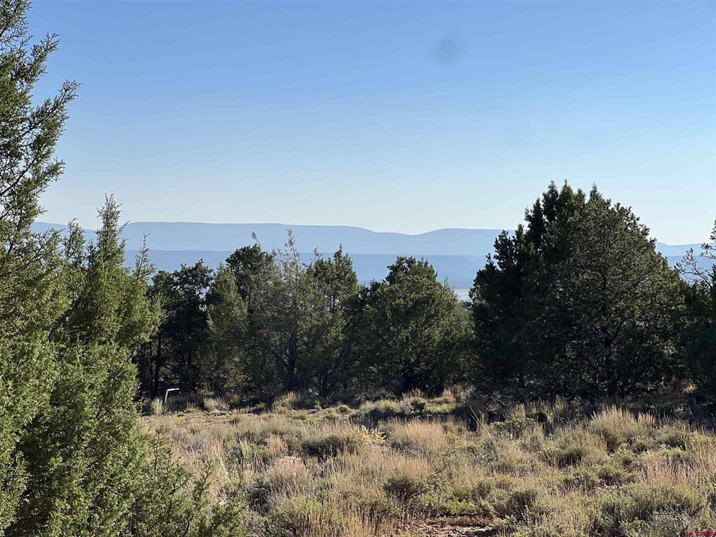 246 La Mesa Vista Drive