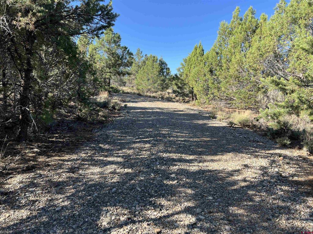 246 La Mesa Vista Drive
