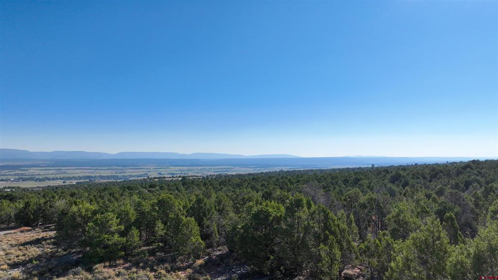 246 La Mesa Vista Drive