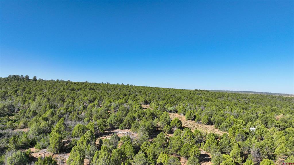246 La Mesa Vista Drive